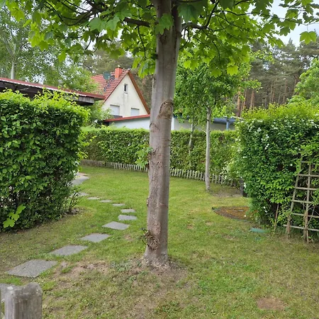 Ankerplatz Am Fleesensee Vakantiehuis *